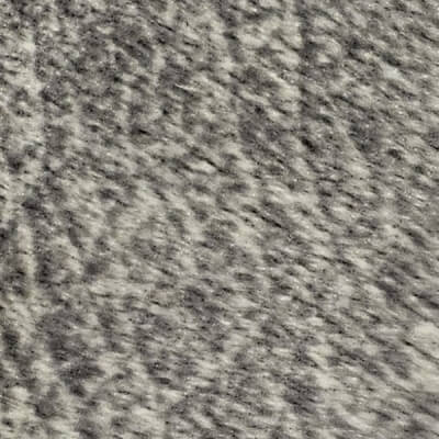 Salvador 14 Grey