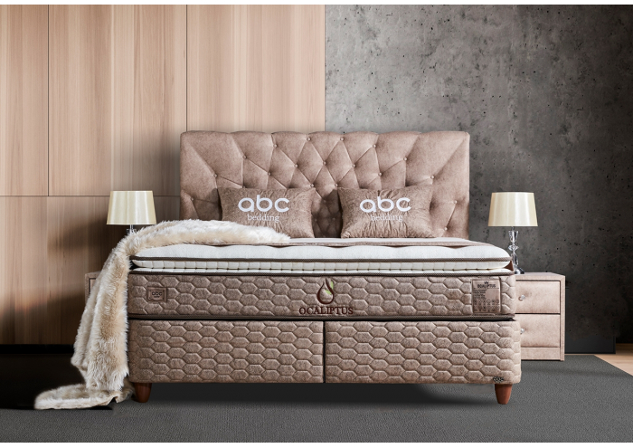 Ocaliptus bed 120