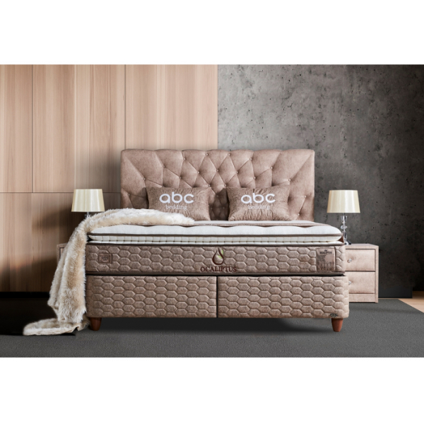Ocaliptus bed 120