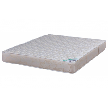 Soft ökoloogiline